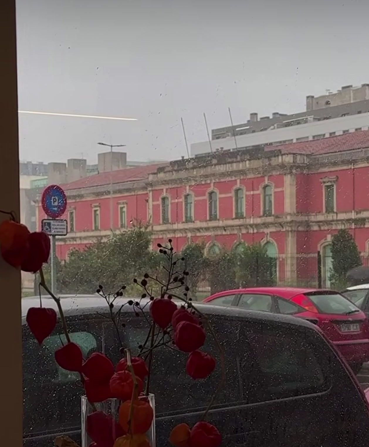 Flores rojas junto a la ventana con vistas a los edificios del puerto